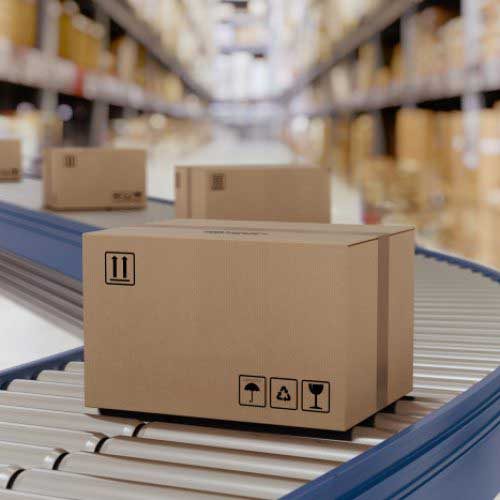 High Capacity Conveyor Machines